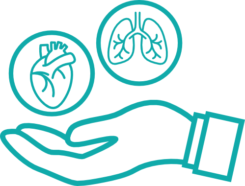 Best Heart and Lung Transplant in India