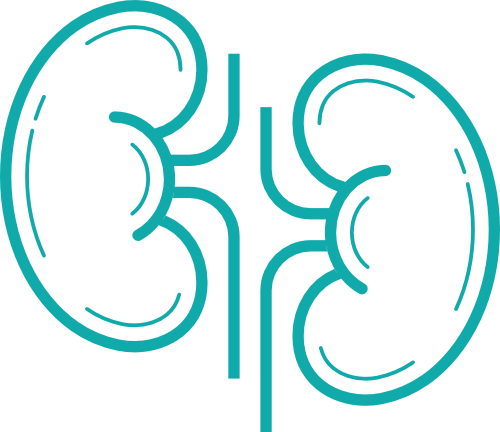 Best Nephrology/Kidney Specialist Hospital in India 
