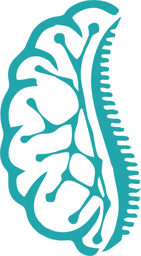 Best Neuro Spine Surgery Hospital in India 