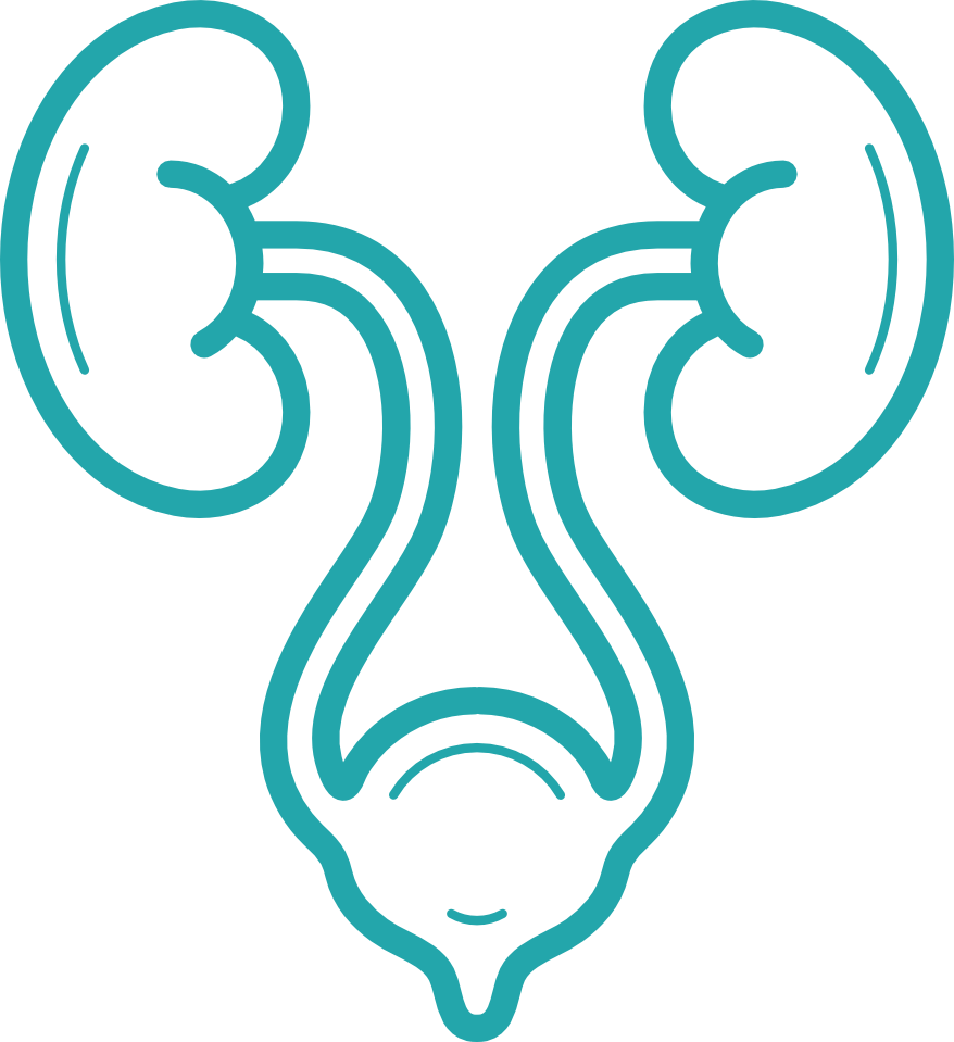 Best Urology and Urogynecology Hospital in India 