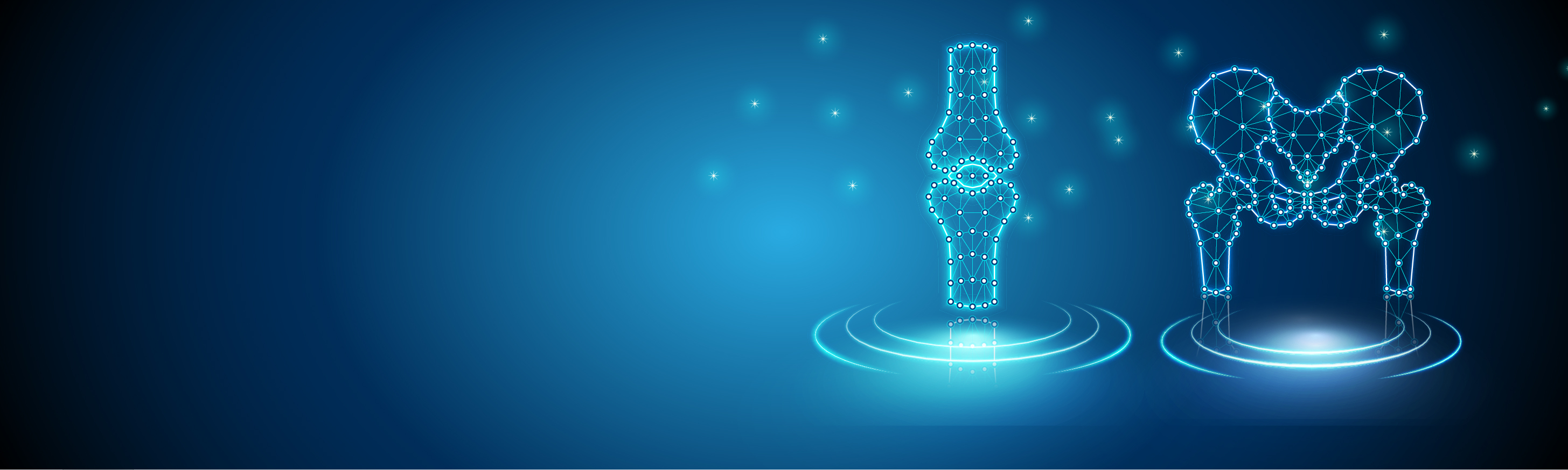 Landing Page Banner