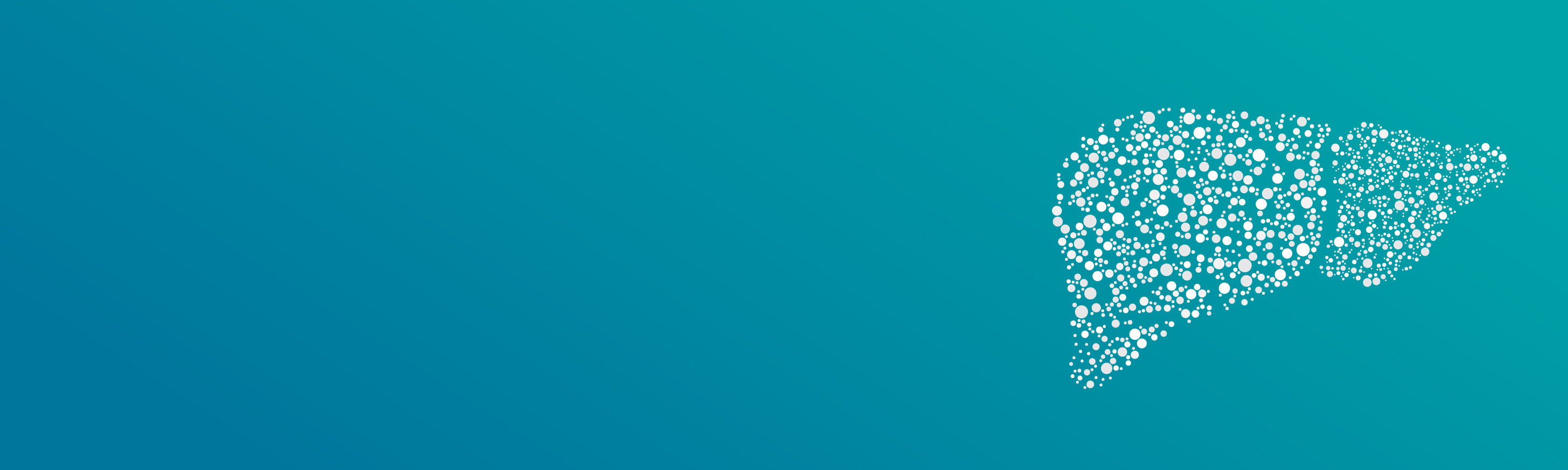 Landing Page Banner