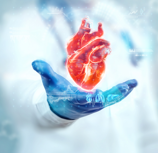 what-is-cardiothoracic-and-vascular-surgery-ctvs_.png