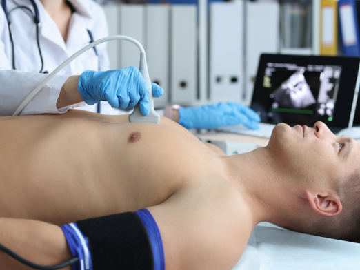 1.-echocardiograms.png
