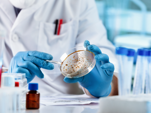 1.-microbiology-laboratories.png
