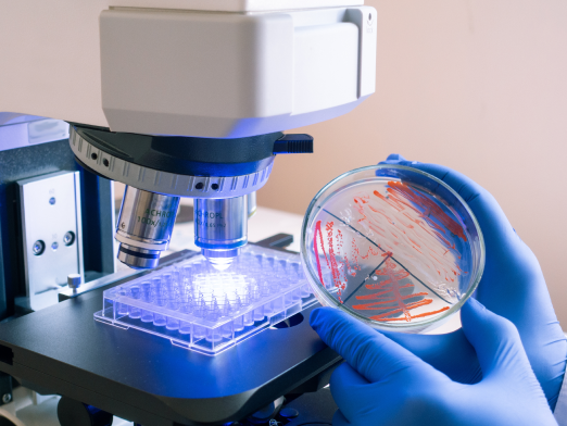 3.-immunology-labs.png