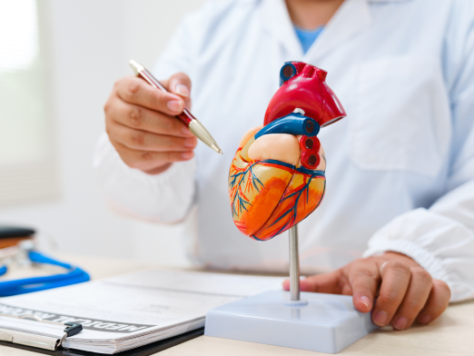 4.-endomyocardial-biopsy.png