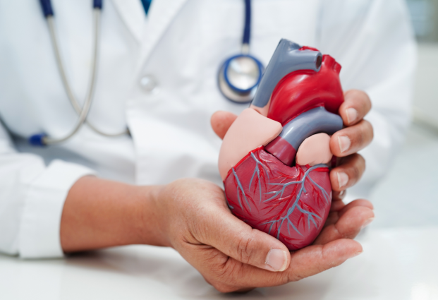 cardiology.png