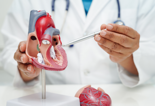 cardiology_1.png