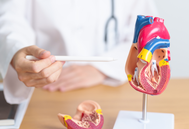 cardiothoracic-and-vascular-surgery_0.png