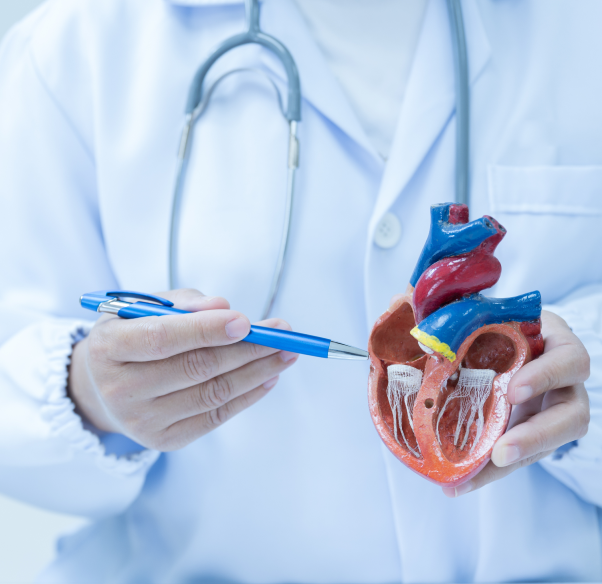 conditions-treated-heart-transplant.png