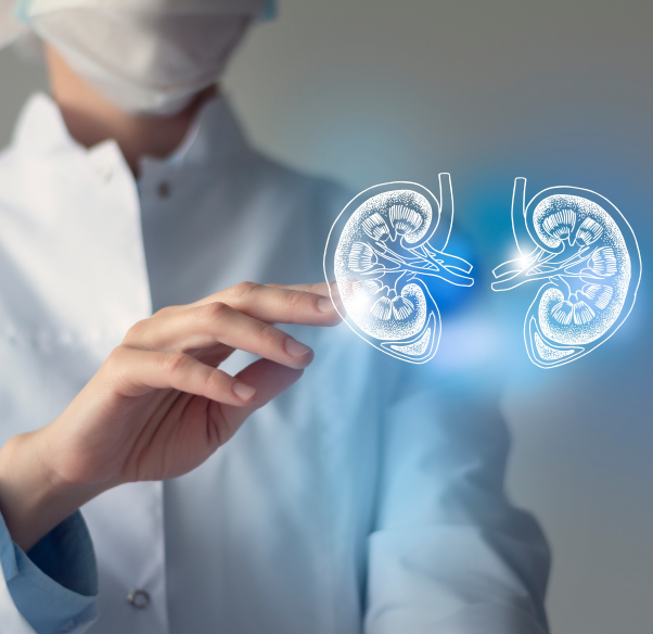 conditions-treated-kidney-transplant.png
