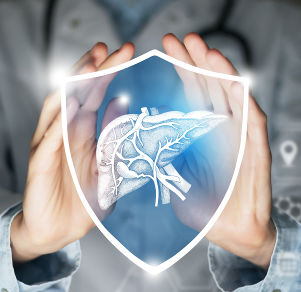 conditions-treated-liver-transplant.png