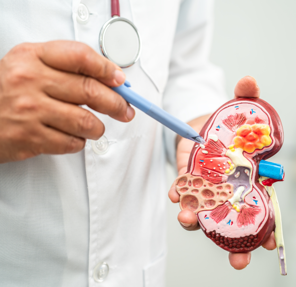 conditions-treated-nephrology.png