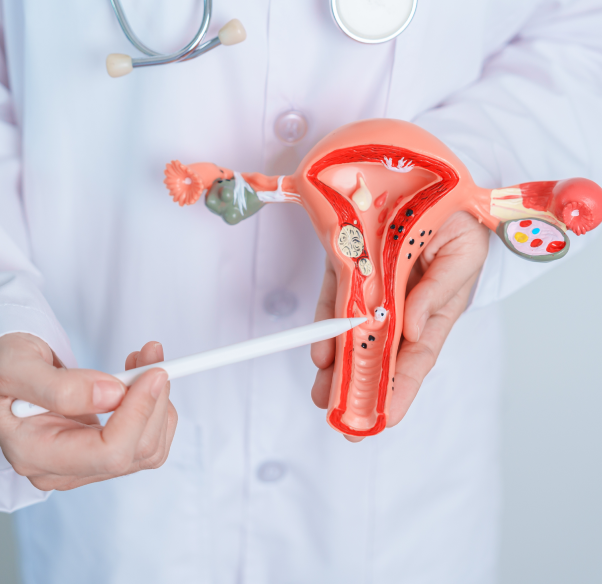 conditions-treated-obstetrics-and-gynaecology.png