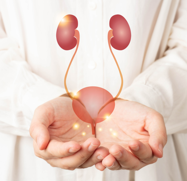 conditions-treated-urology-and-urogynaecology.png