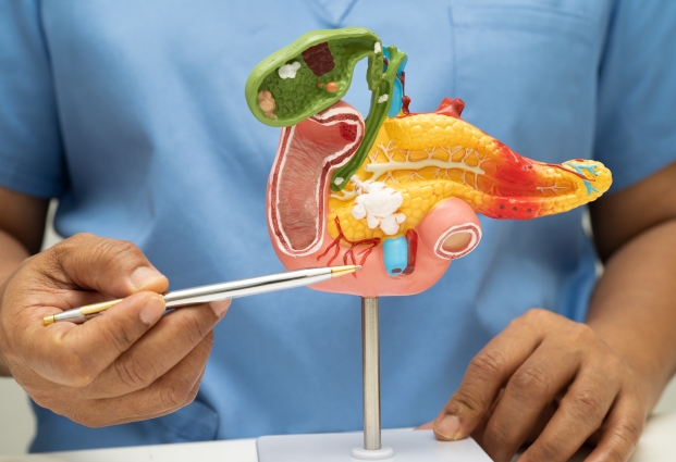 hpb-surgery-and-liver-transplant.png