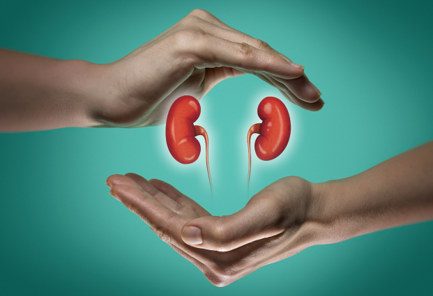 nephrology.png