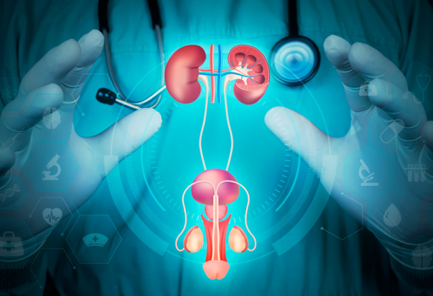 nephrology_0.png