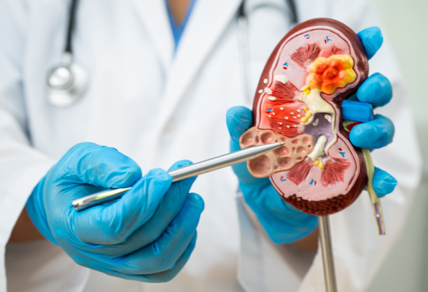 nephrology_1.png