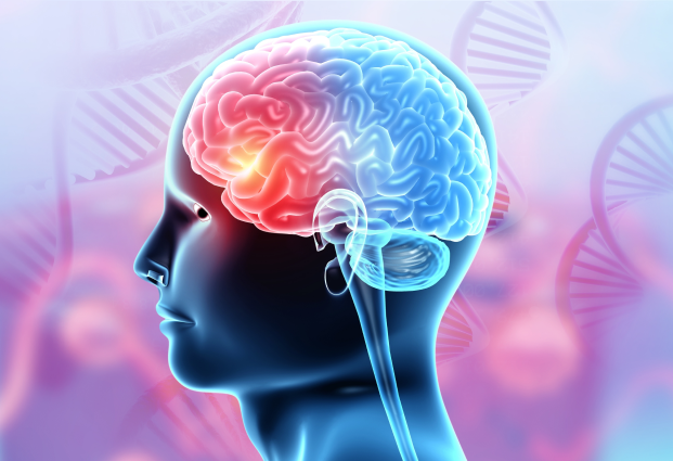 neurology.png