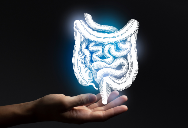 surgical-gastroenterology_1.png