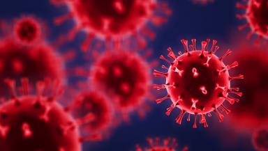 What Exactly Causes Death After Being Infected With Coronavirus?