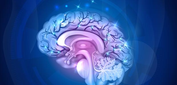 department-of-neurology.jpg