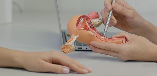 department-of-urology-and-urogynaecology.jpg