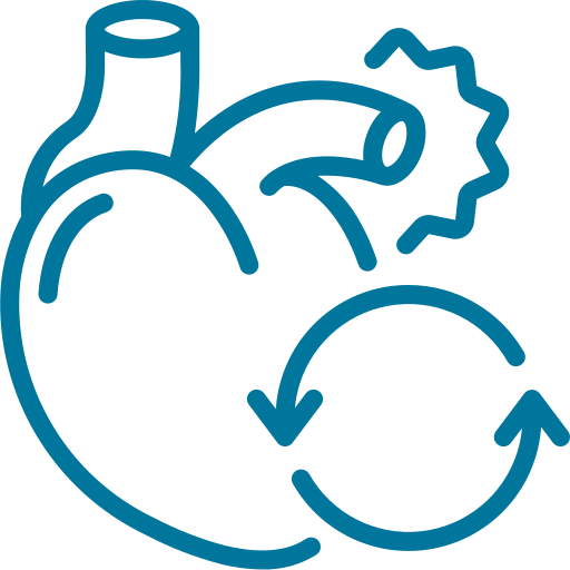 Coronary Artery Disease (Blocked Heart Arteries)