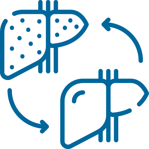 Liver Transplant