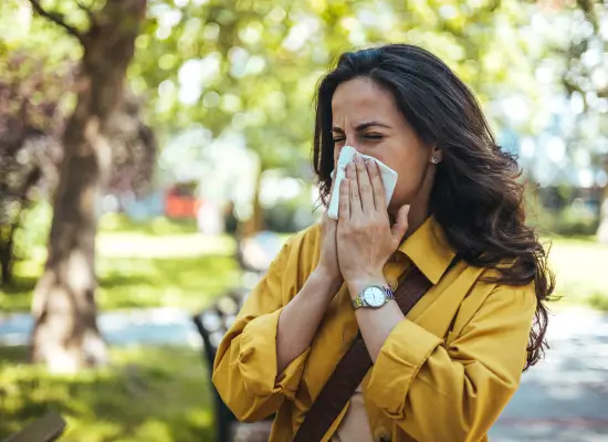 The Role of the Immune System in Allergies