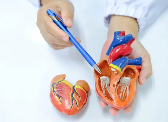 Types Of CABG Procedure