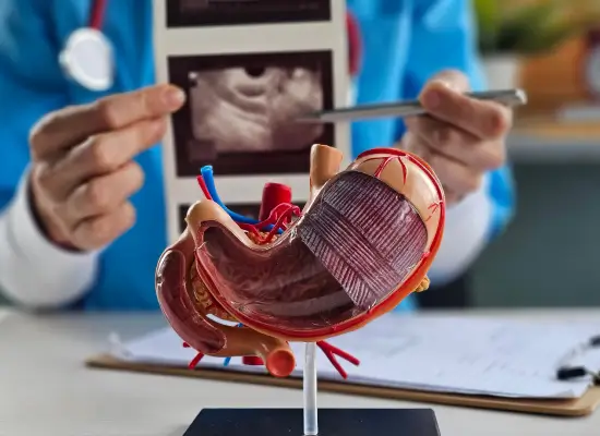 Endoscopic Ultrasonography Procedure