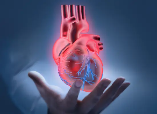 Heart Valve Replacement Surgery Procedure