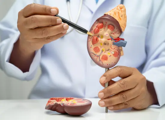 The Procedure: What to Expect