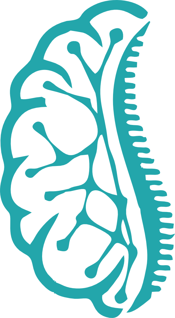 Neuro Spine Surgery in Chennai